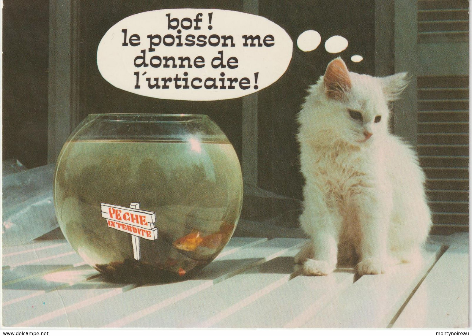 LD61 : Humour : Chat - Poisson , Bof! - Humor