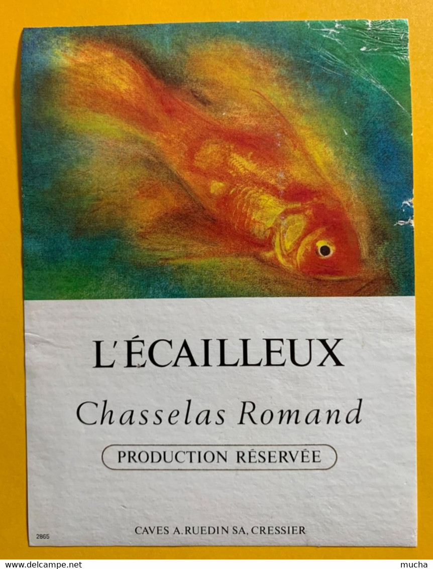 17048 - L'Ecailleux Chasselas Romand - Fische