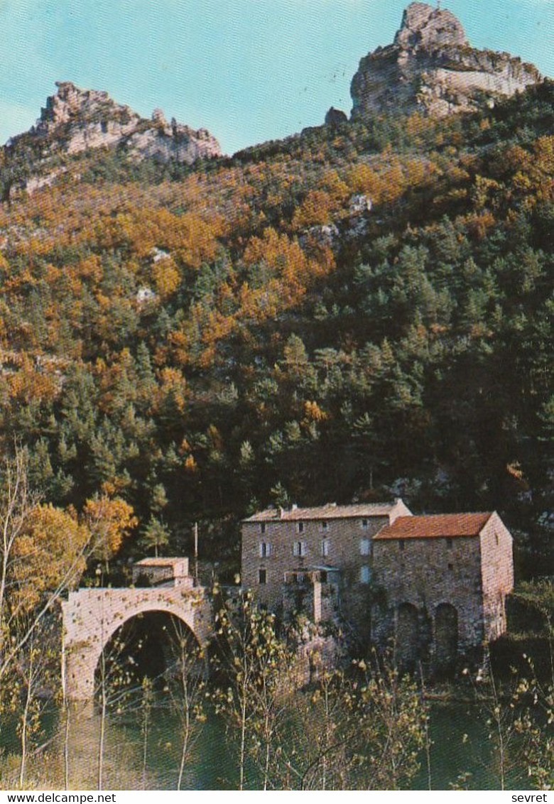 LES GORGES DU TARN. - Vieux Pont De La Muse Et Rocher De Capluc - Gorges Du Tarn