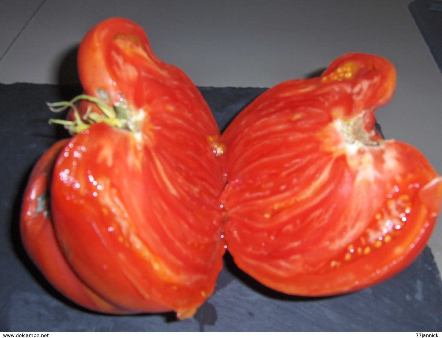 30 Graines Tomates RUSSE BIO - Andere & Zonder Classificatie