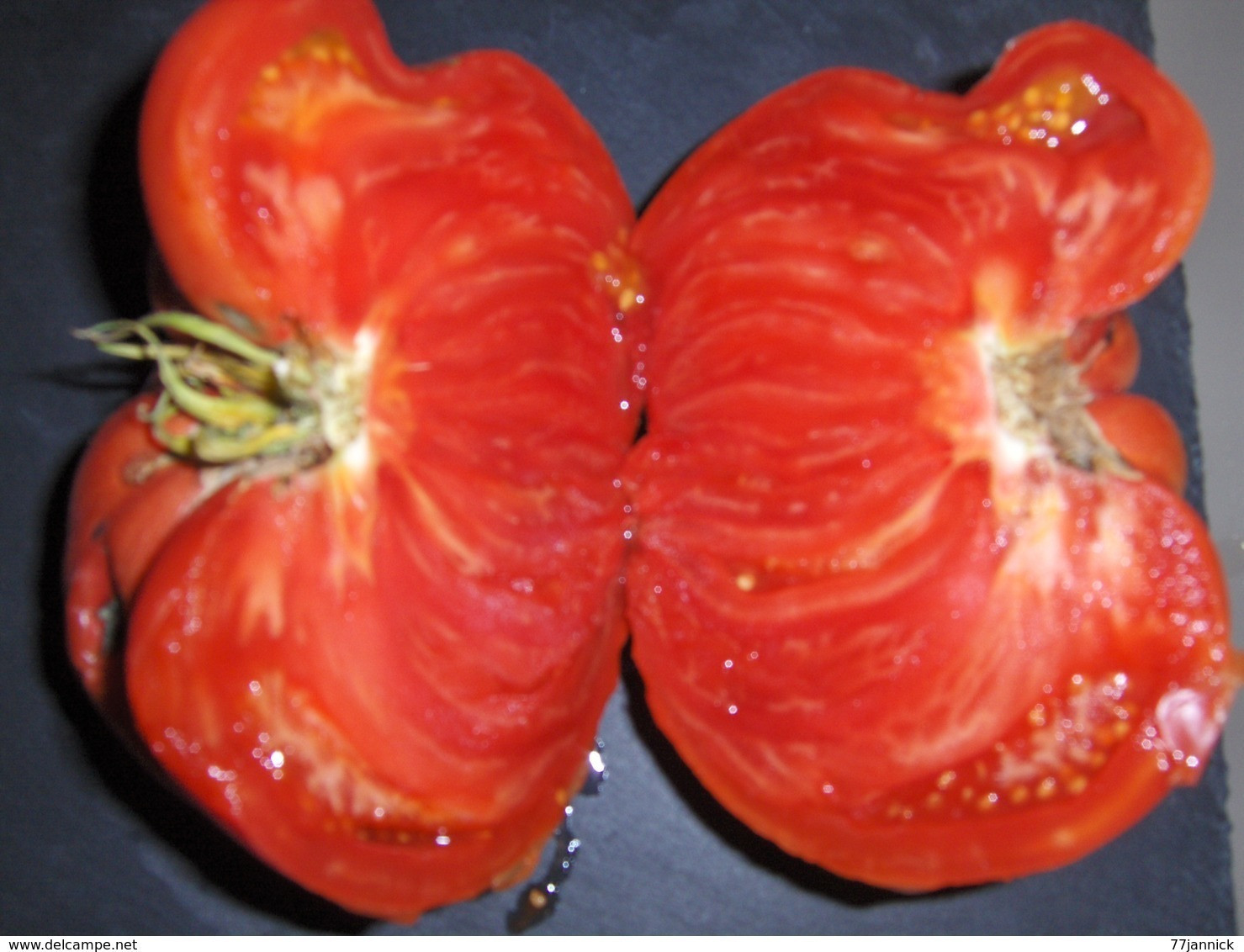 30 Graines Tomates RUSSE BIO - Andere & Zonder Classificatie