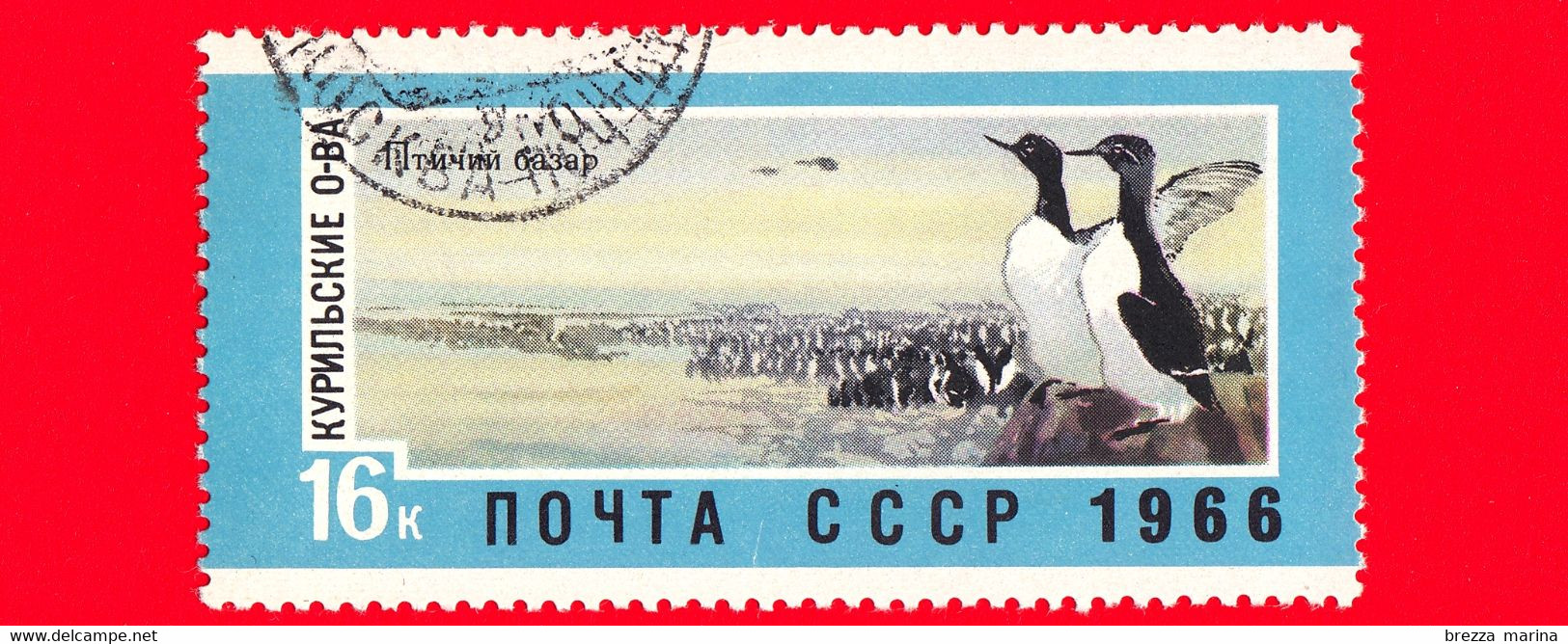 Nuovo - Oblit. - RUSSIA - 1966 - Territori Sovietici Dell'estremo Oriente - Comune Murre (Uria Aalge), Isole Kuril - 16 - Sibérie Et Extrême Orient