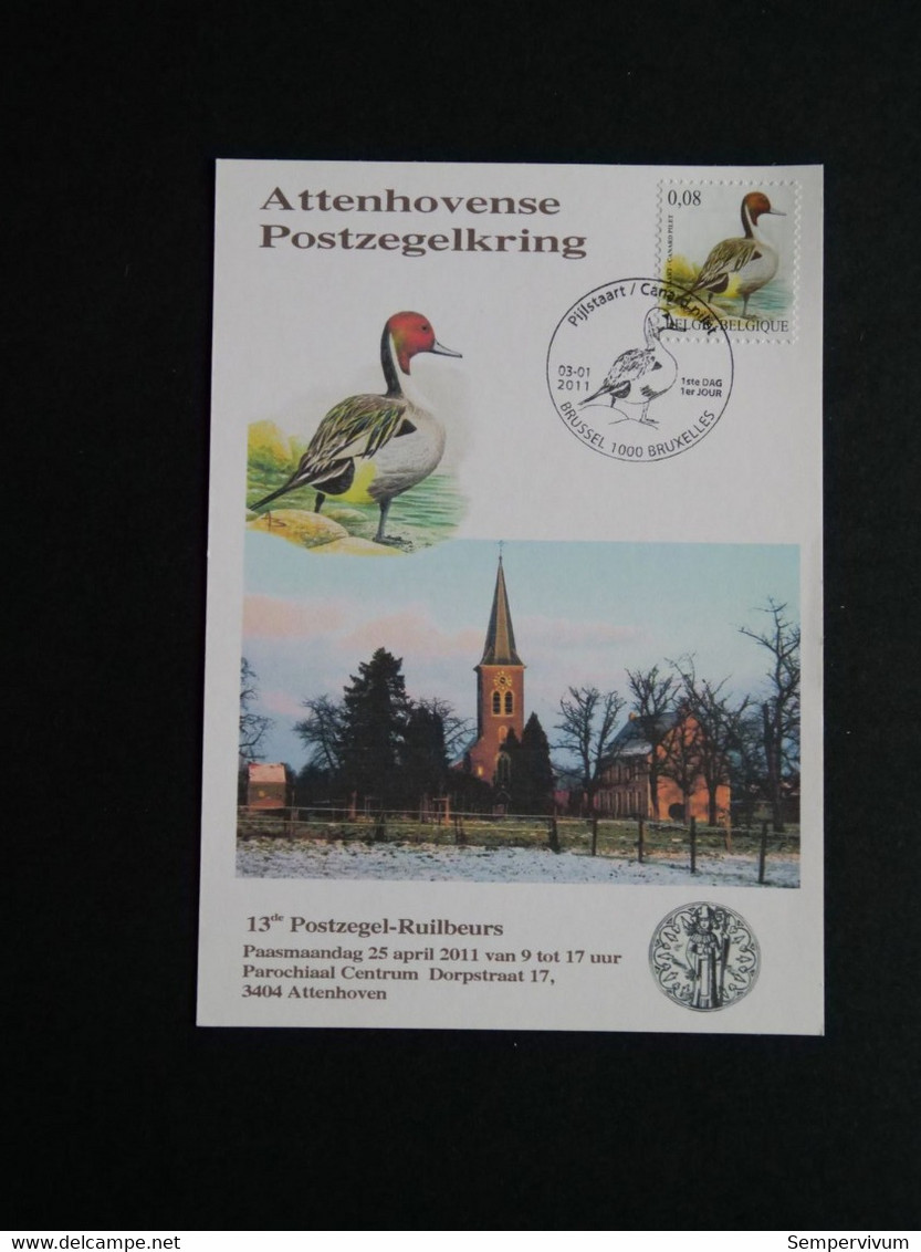 Buzin Attenhovense Postzegelkring - 1985-.. Vögel (Buzin)