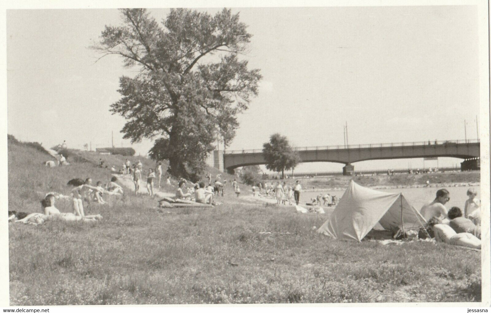 Foto AK - Wien XXI. Badetag Mit Zelt Und Luftmatratzen Auf Der DONAUWIESE 1962 - Altri & Non Classificati