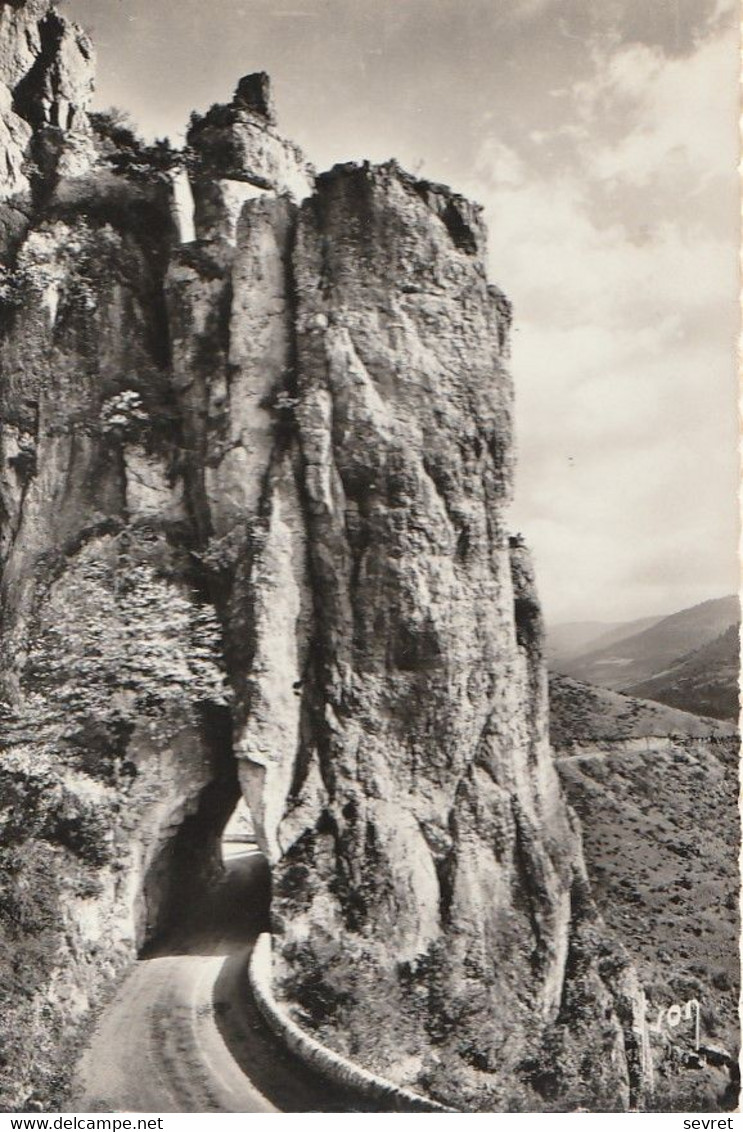 MEYRUEIS. - Route De L'Aven Armand Et Sainte-Enimie. CPM Dentelée - Meyrueis