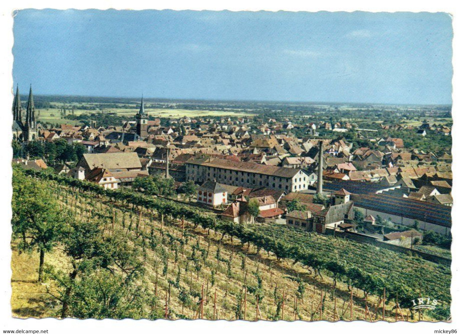 OBERNAI -1969---Vue Générale  (usine Au 1er Plan).................à  Saisir - Obernai