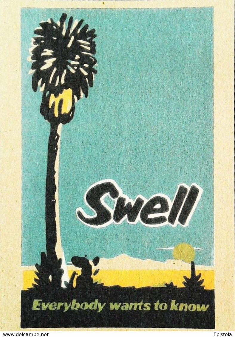 ►  SWELL - California - Everybody Wants To Know - 1950s  Reproduction Carton Cardboard "Greetings From OCHO LOCO PRESS" - Rutas Americanas