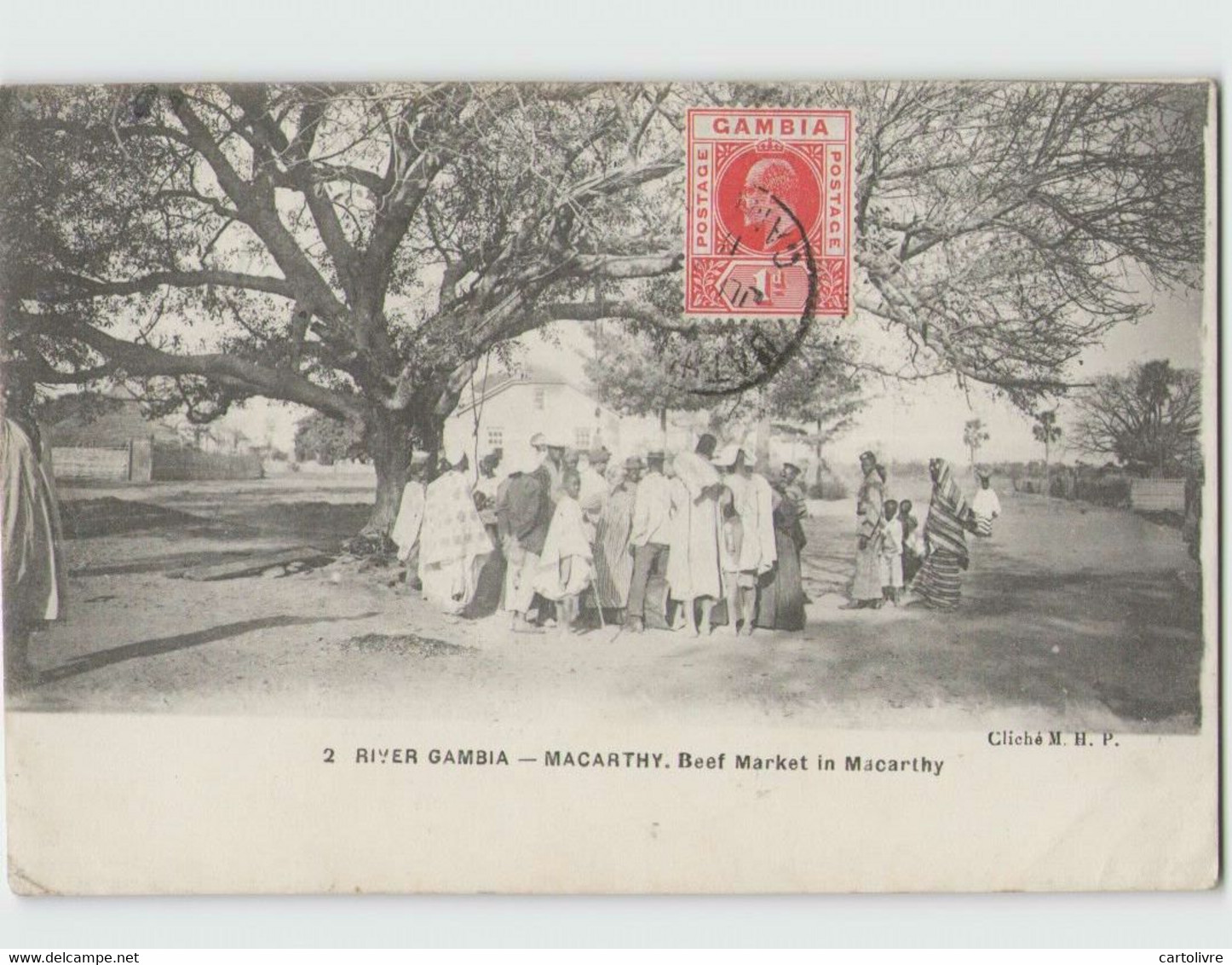 GAMBIE MACARTHY ... Beef Market In Macarthy Circulée 1911 - Gambia