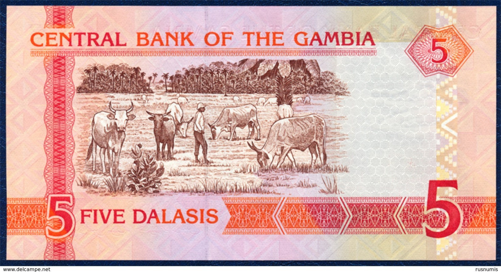 GAMBIA 5 DALASIS P-25c  FAUNA ANIMALS BIRD 2006 - 2014 UNC - Gambie