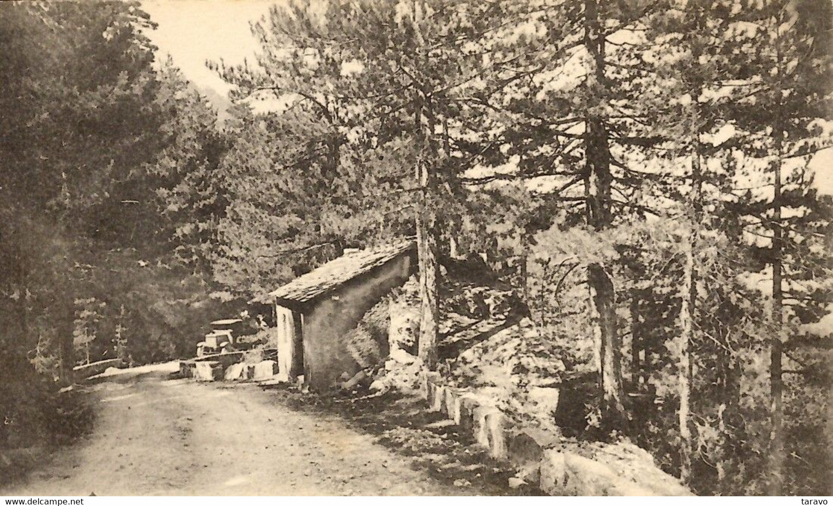 CORSE - Sur La Route De GHISONI, Automobile Devant Cabane Forestière - Autres & Non Classés