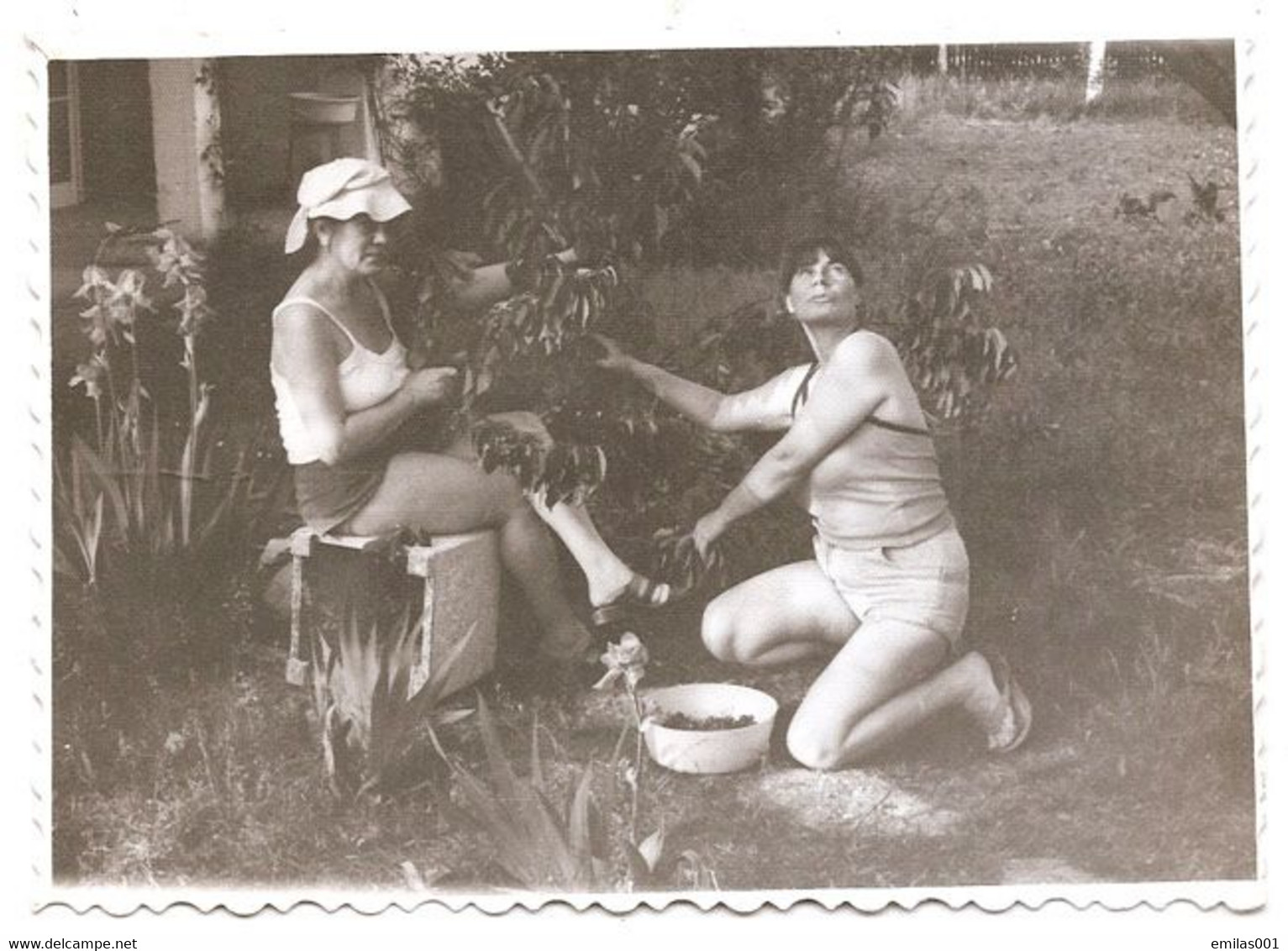 Photo Originale , Femmes Amusantes Dans Le Jardin , Dim. 11.5 Cm X 8.5 Cm - Anonieme Personen