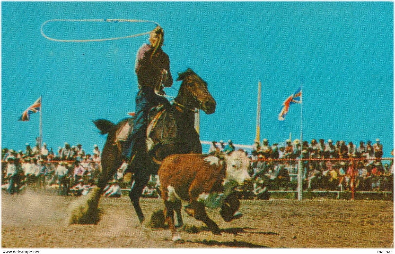 CANADA - ALBERTA - CALGARY - Calf Roping - Rodeo - Mint - Calgary