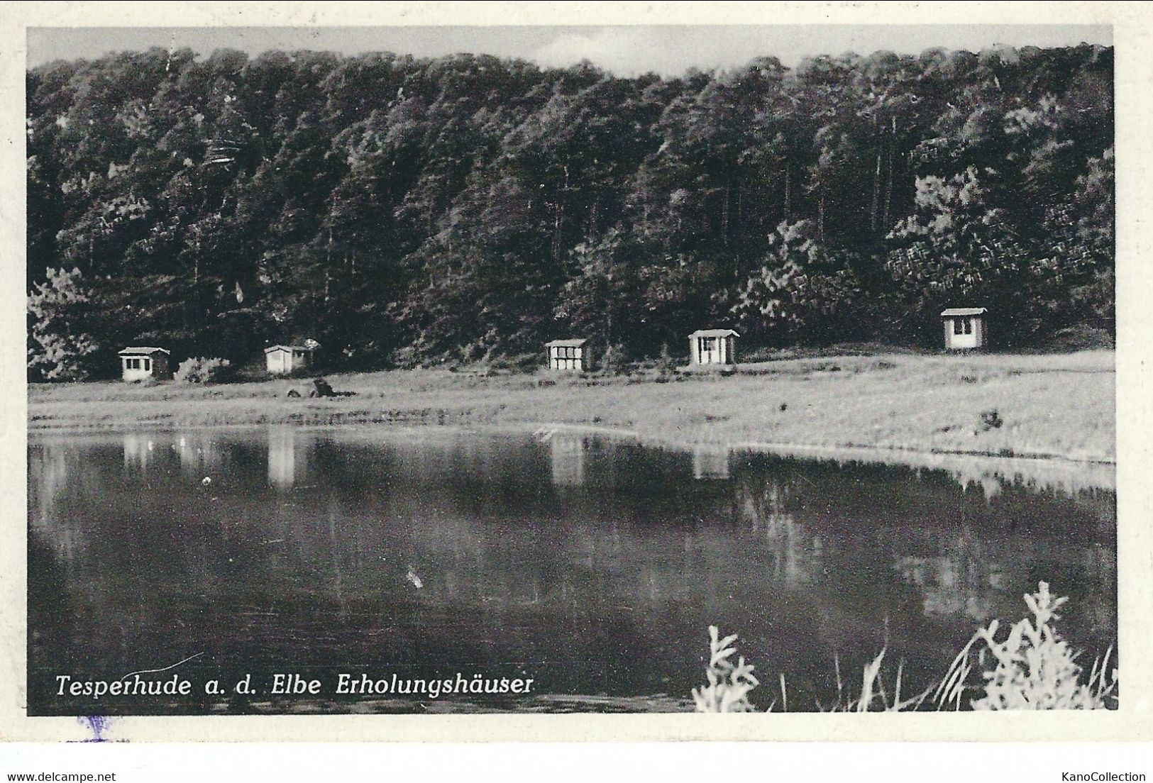Tesperhude An Der Elbe, 1954, Erholungshäuser - Geesthacht