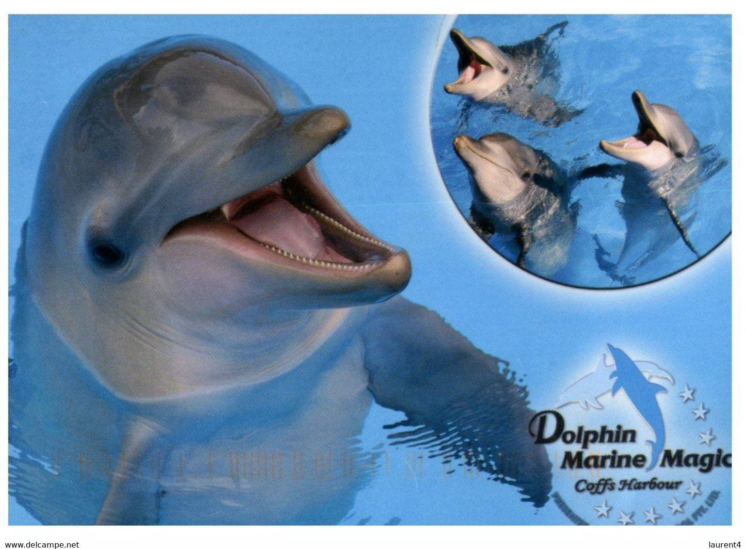 (Y 1) Australian - NSW - Coffs Harbour Dolphins (with Pensineer Stamp At Back) - Dauphins