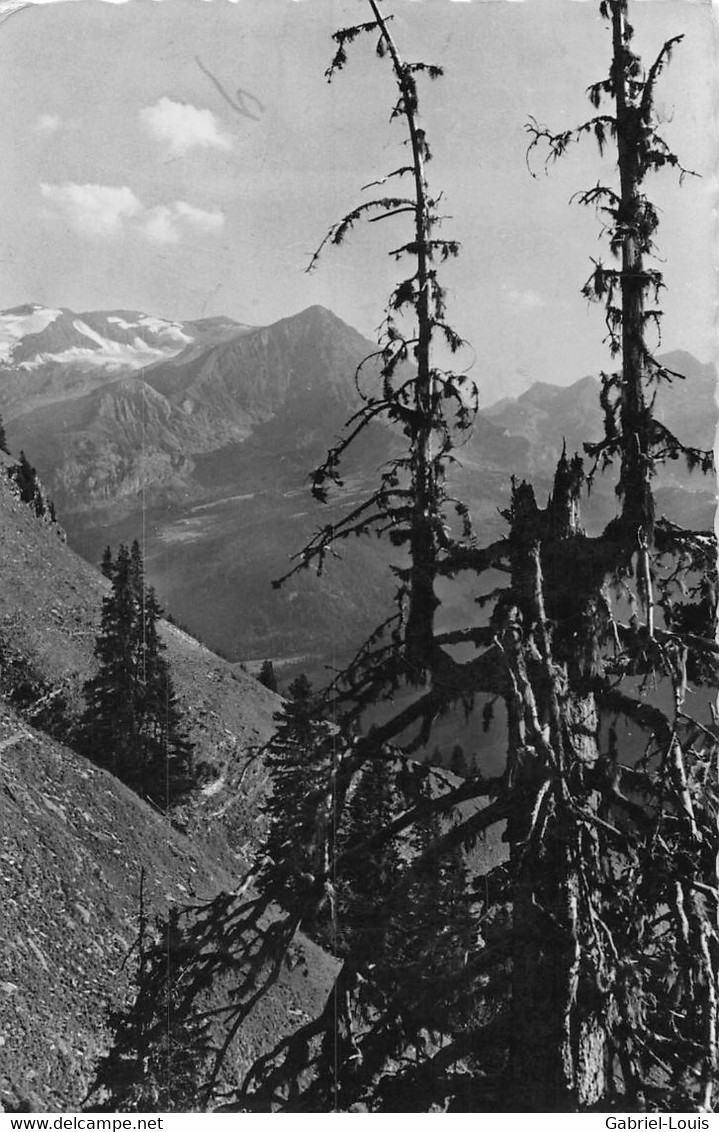 Bei Gstaad Im Hintergrund Das Spizhorn - Gstaad