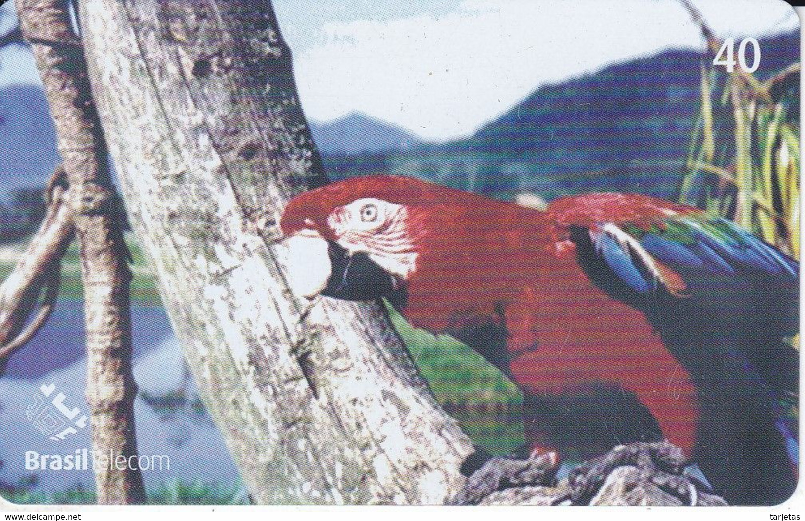 TARJETA DE BRASIL DE UN  GUACAMAYO (PARROT) - Papegaaien & Parkieten