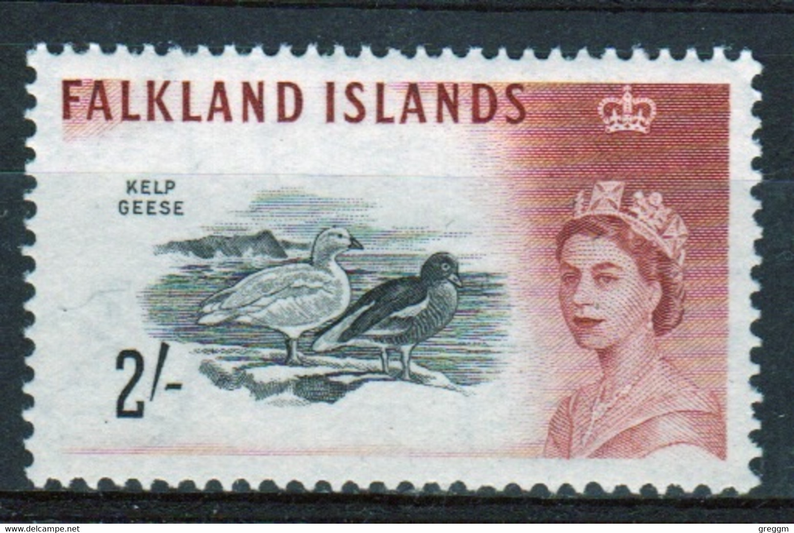 Falkland Islands Queen Elizabeth 1960 2s Stamp From The 1960 Definitive Bird Set. - Falklandeilanden