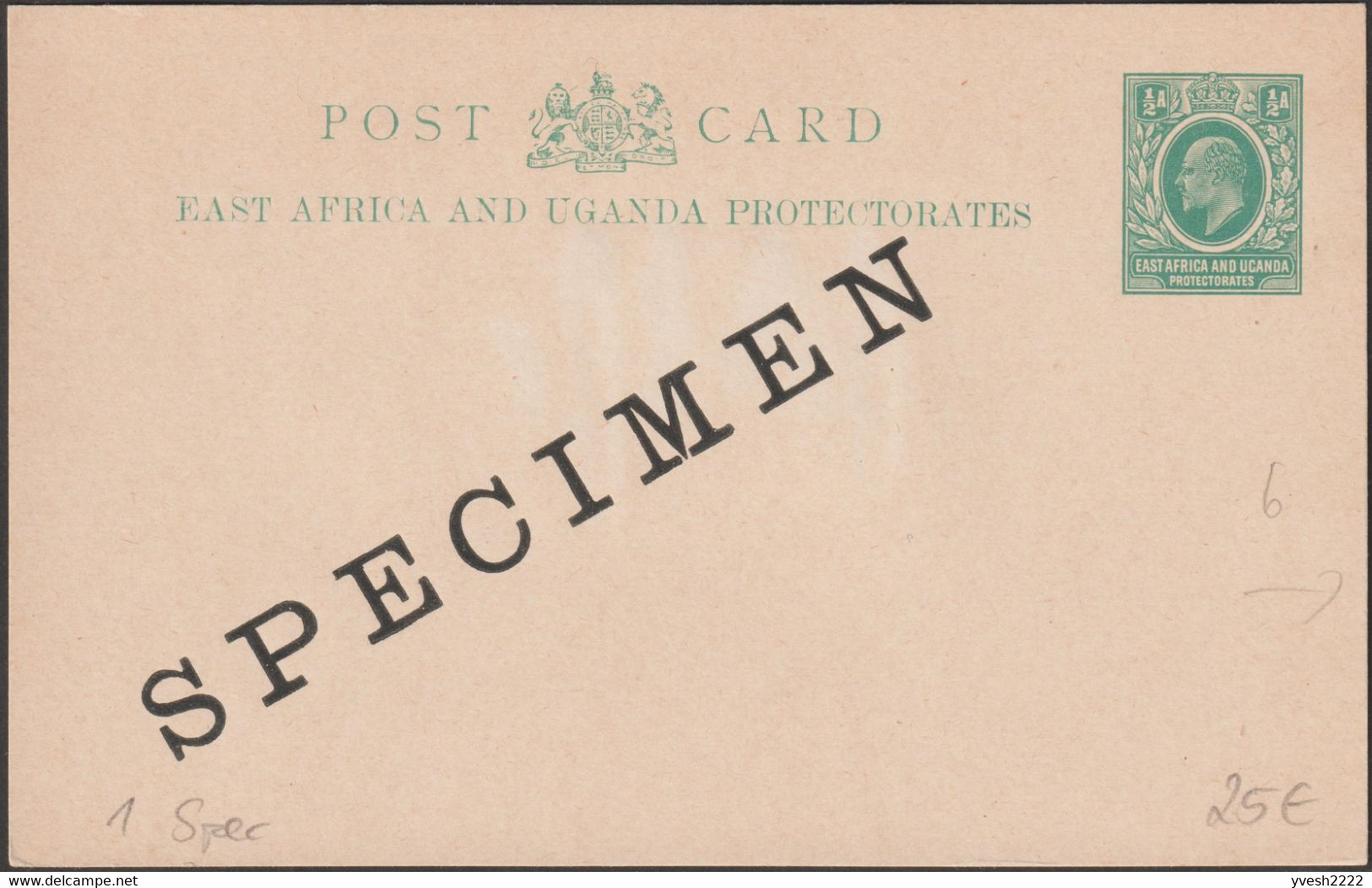 Est Africain Et Ouganda Vers 1902. Entier Postal, Carte Surchargée Specimen, Edouard / Edward VII - British East Africa