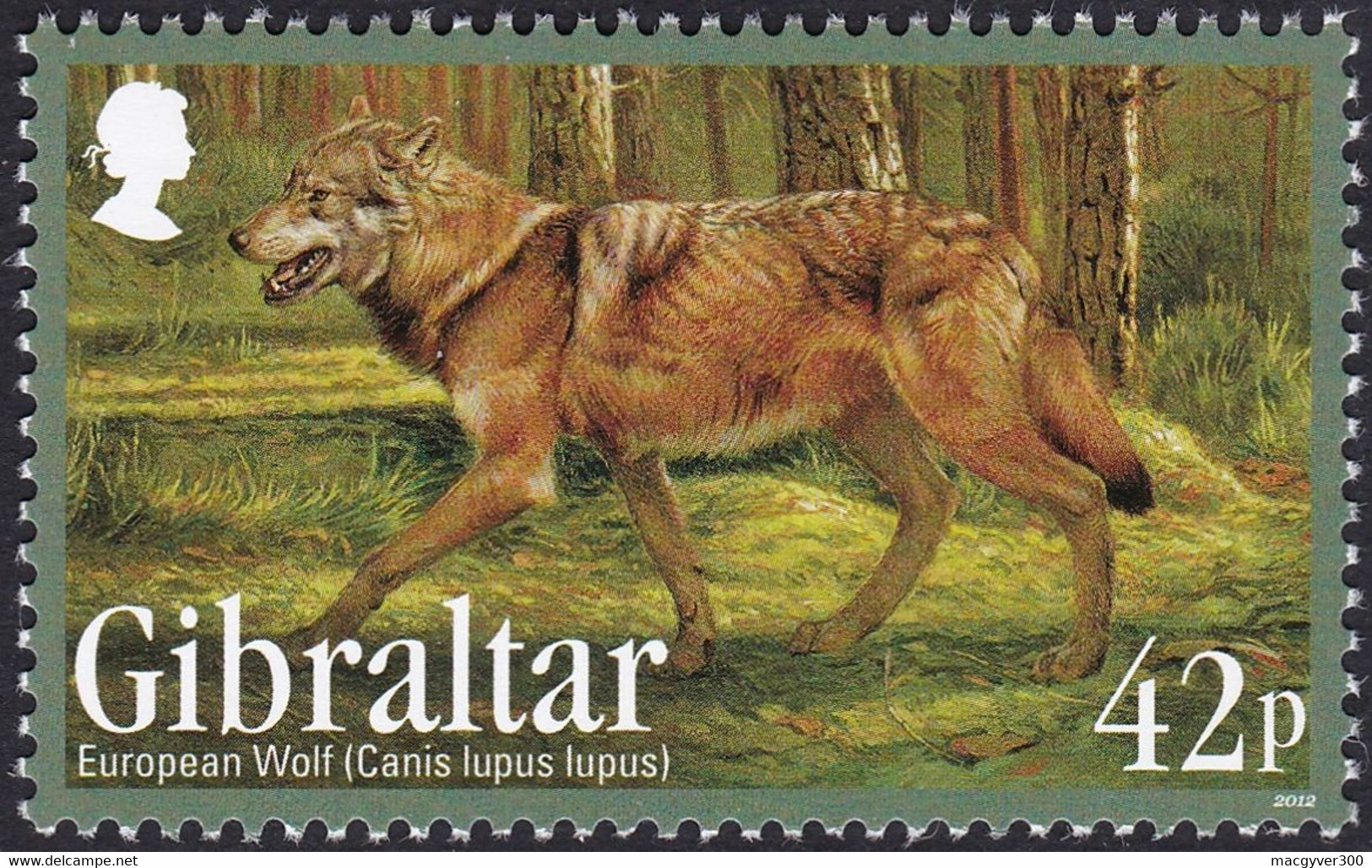 GIBRALTAR, 2012, Animaux (faune) | Loups | Mammifères - Chiens