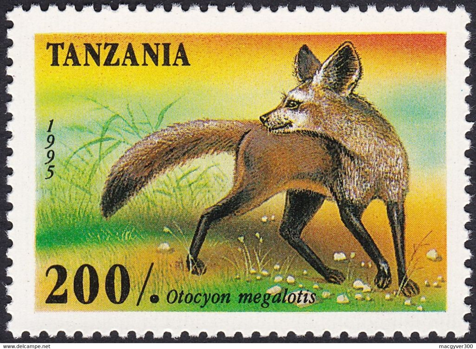 TANZANIE, 1995, Animaux (faune) | Mammifères | Renards - Chiens