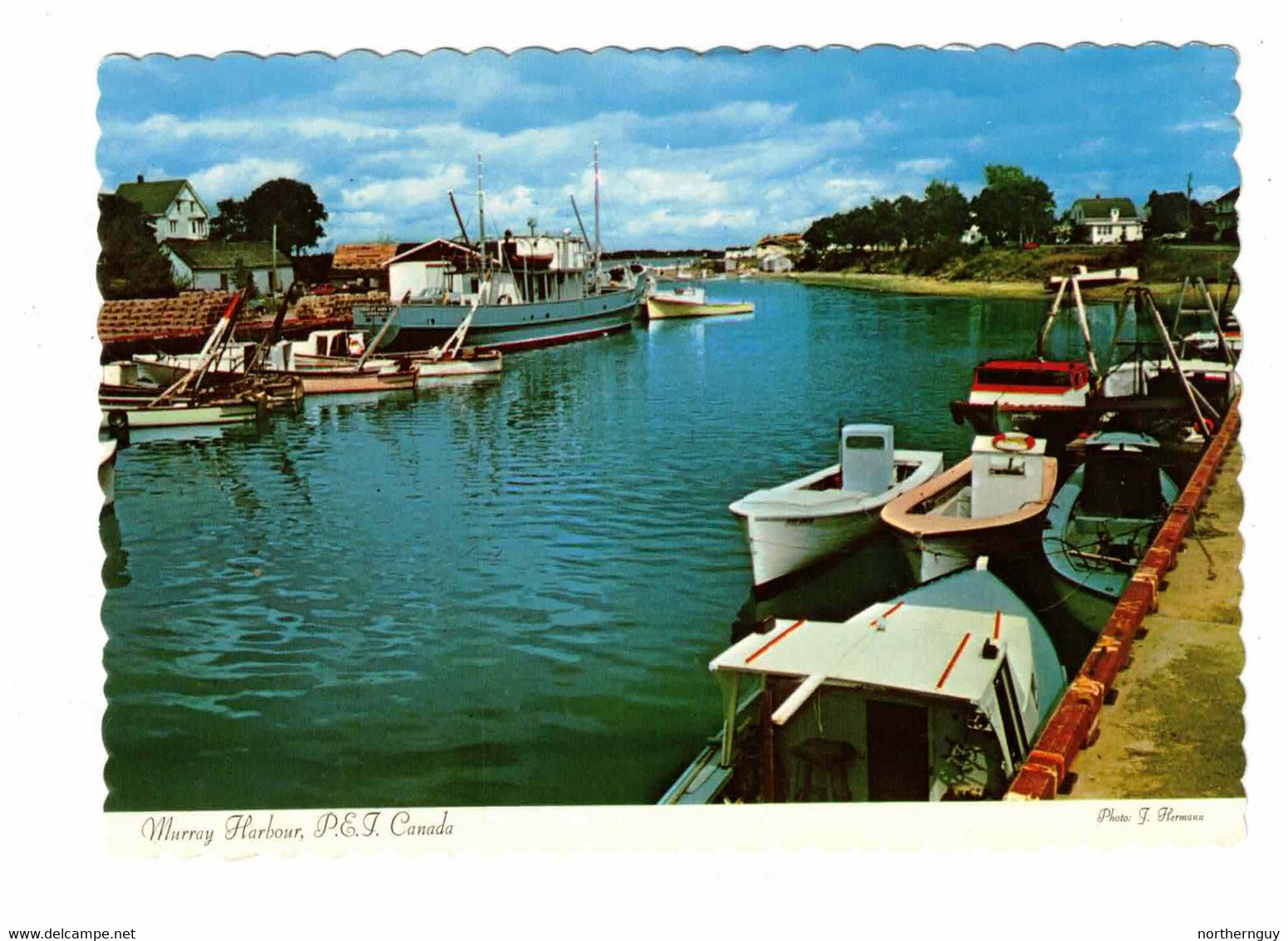 MURRAY HARBOUR, Prince Edward Island, Canada, Older 4X6 Chrome Postcard - Andere & Zonder Classificatie