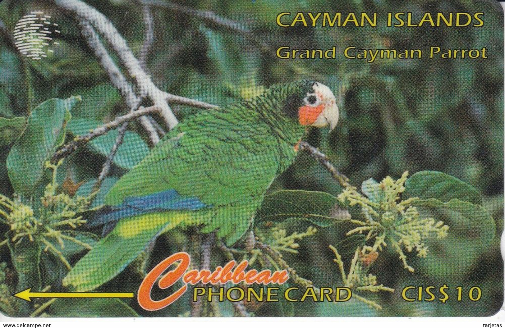 TARJETA DE CAYMAN ISLANDS DE UN LORO (BIRD-PAJARO-PARROT) 11CCIB - Kaimaninseln (Cayman I.)