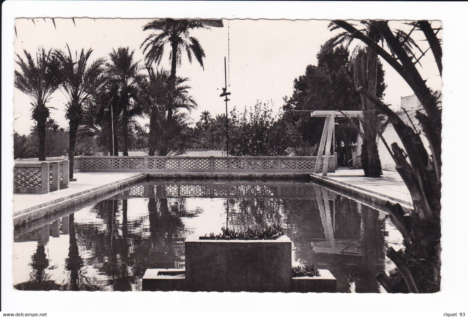 COLOMB-BECHAR - La Piscine Municipale - Bechar (Colomb Béchar)