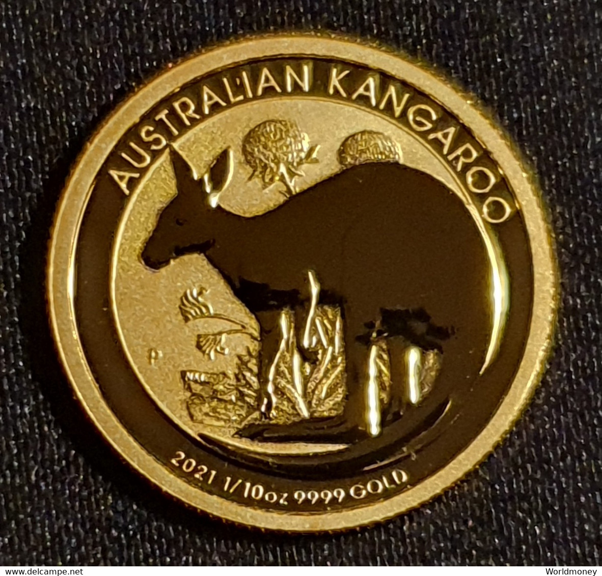 15 Dollars 2021 Australia (Gold) - Collections