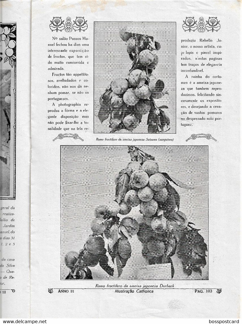 Braga Guimarães Famalicão Monção Porto Carvalhos Gaia Golegã - Revista Ilustração Católica Nº 111, 1915