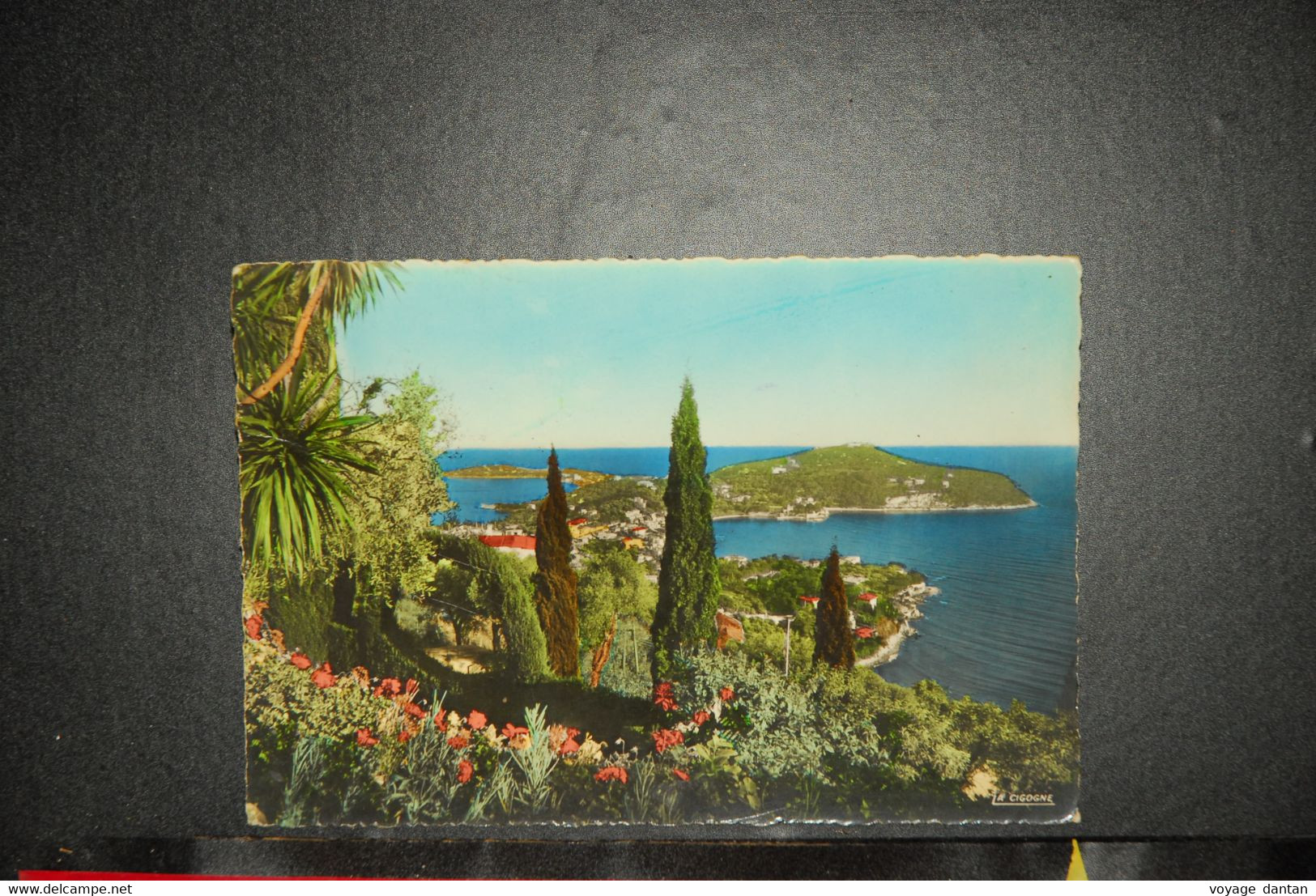 CP, 06,  LE CAP FERRAT DANS SON DECOR MEDITERRANEEN. - Saint-Jean-Cap-Ferrat