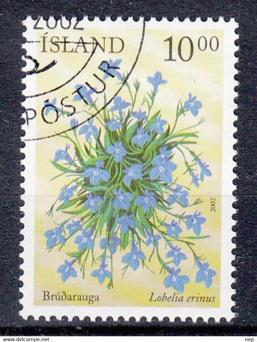 IJSLAND - Michel - 2002 - Nr 1017 - Gest/Obl/Us - Gebraucht