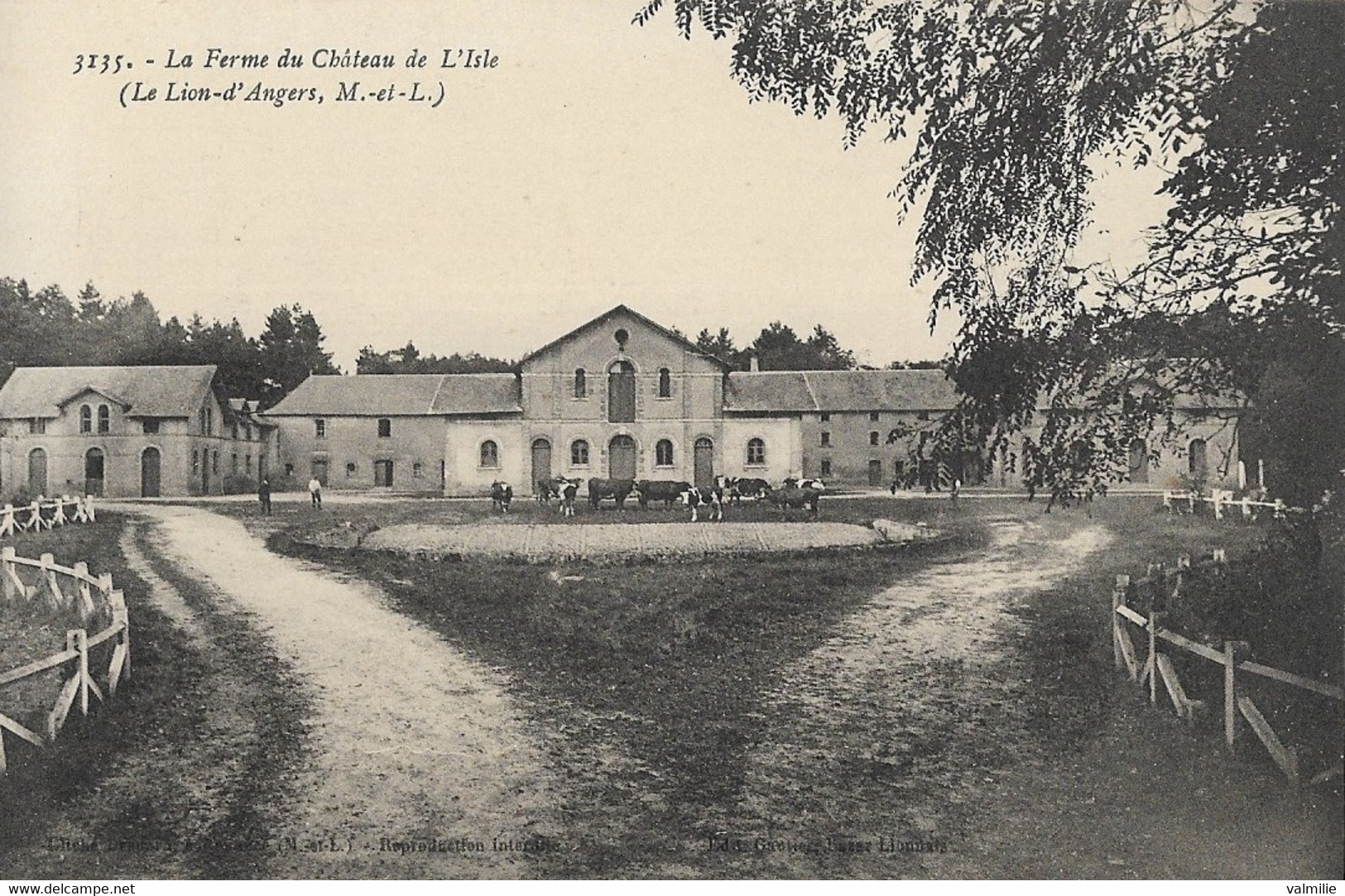 LE-LION-D'ANGERS - La Ferme Du Château De L'Isle - Andere & Zonder Classificatie