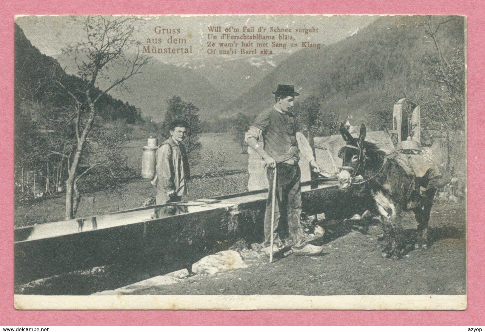 68 - Hautes Vosges - GRUSS Aus Dem MÜNSTERTAL - Vallée De La WORMSA - Colporteur - Ane - Esel - Vallée De MUNSTER - Autres & Non Classés