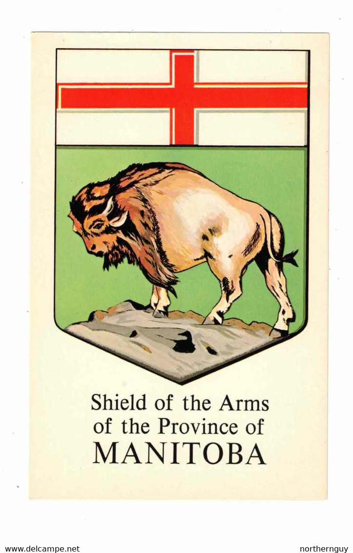 MANITOBA, Canada, Shield Of The Arms Of The Province, Old Chrome Postcard - Sonstige & Ohne Zuordnung