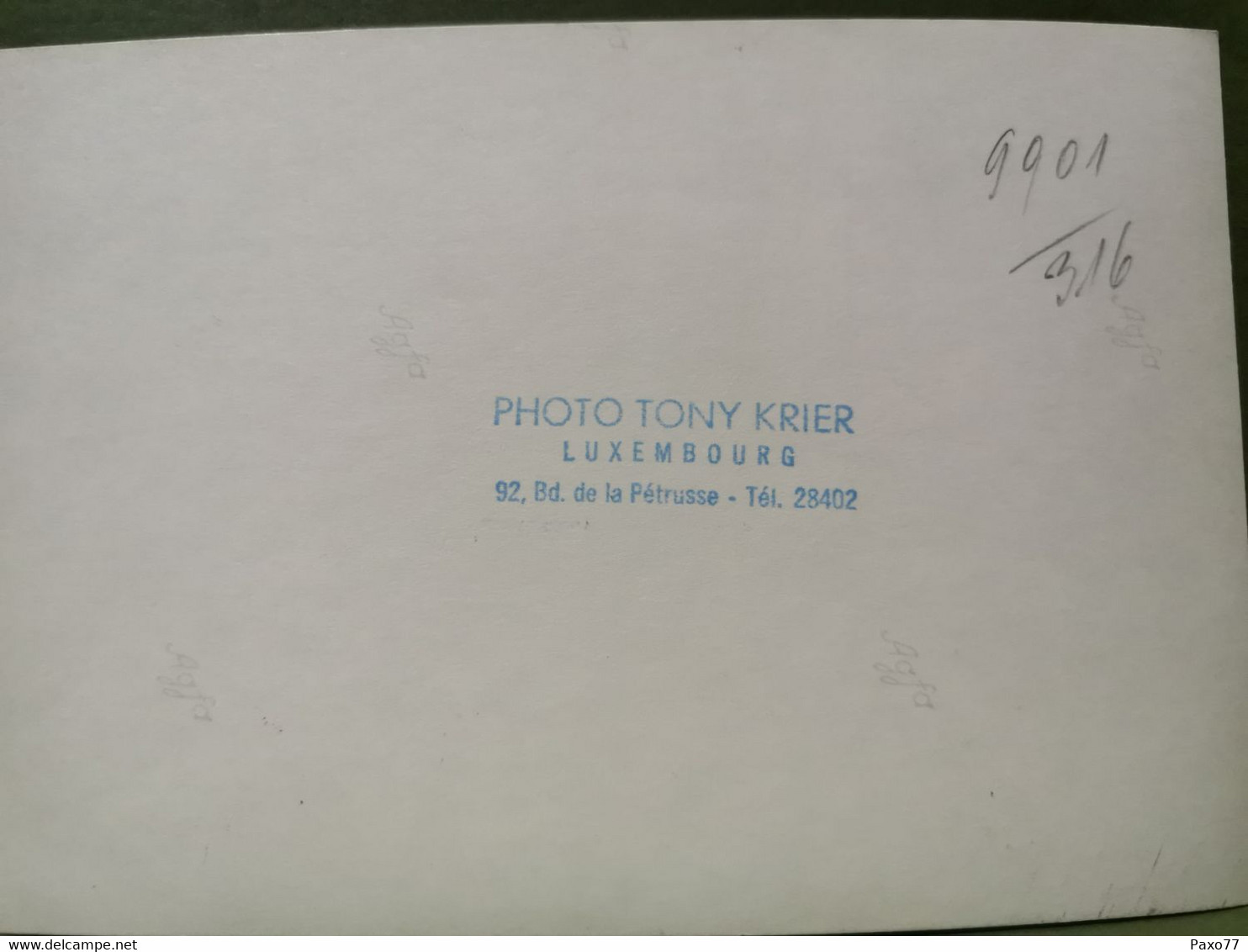 Photo Original, Famille Grand-Ducale Luxembourg. Tony Krier. 14x10 - Other & Unclassified