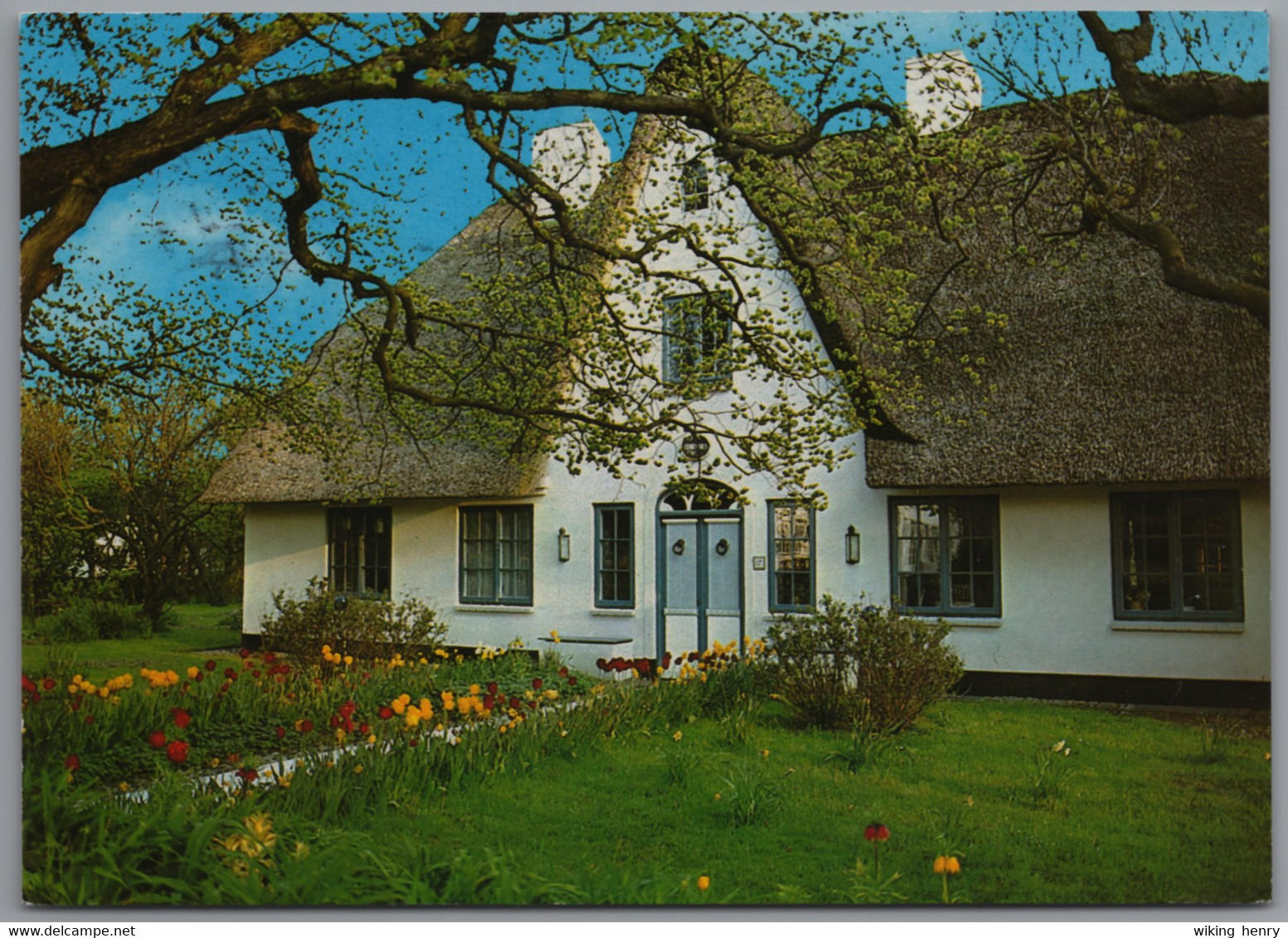 Friesland - Friesenhaus Im Frühling 2 - Nordfriesland