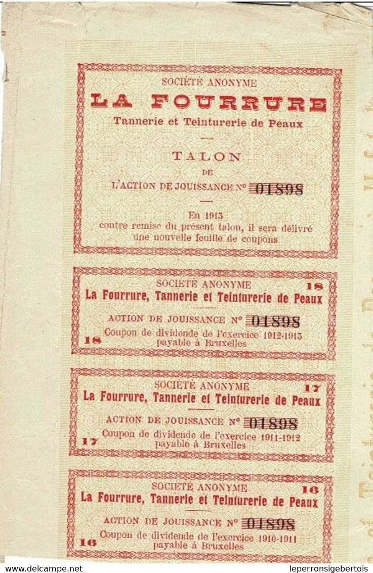 Titre Ancien - - Société Anonyme La Fourrure - Tannerie & Teinturerie De Peaux -Titre De 1895 - - Textile