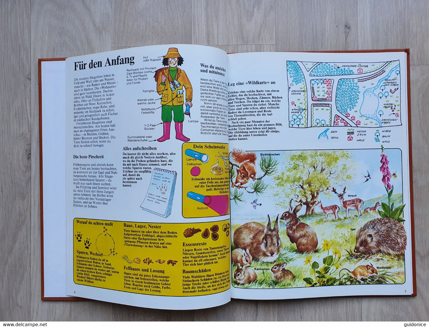 Jugendsachbuch (1970er) - Ich Entdecke Die Natur - Feld Und Wald - Algemene Kennis