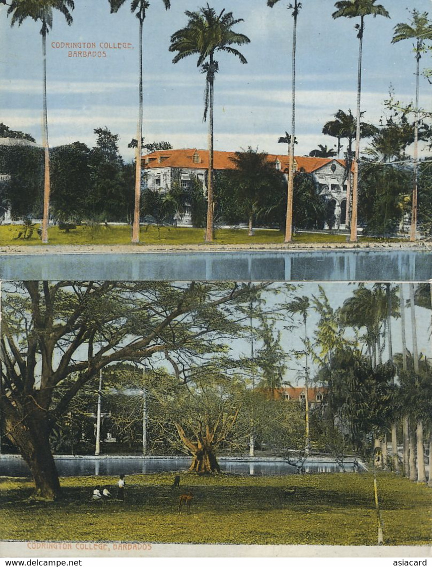 2 Hand Colored Cards Codrington College Barbados Edit Johnson. Palm Tree. Park. Fromager - Barbados
