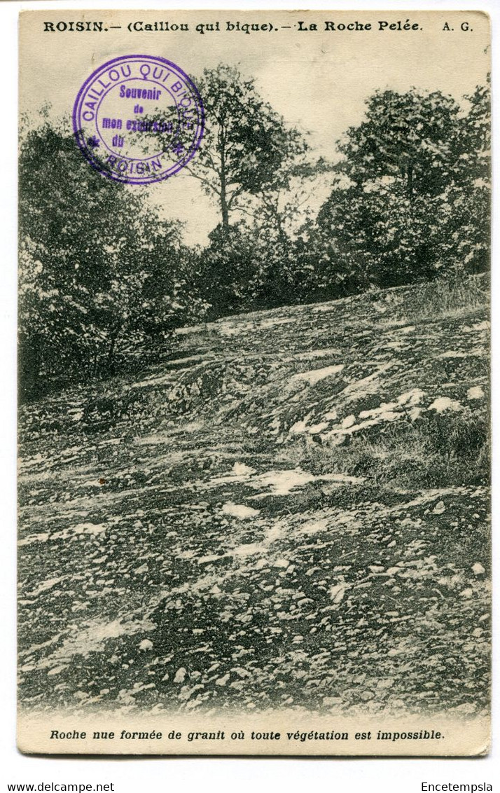 CPA - Carte Postale - Belgique - Roisin - Caillou Qui Bique - La Roche Pelée - 1911 (DG15058) - Honnelles