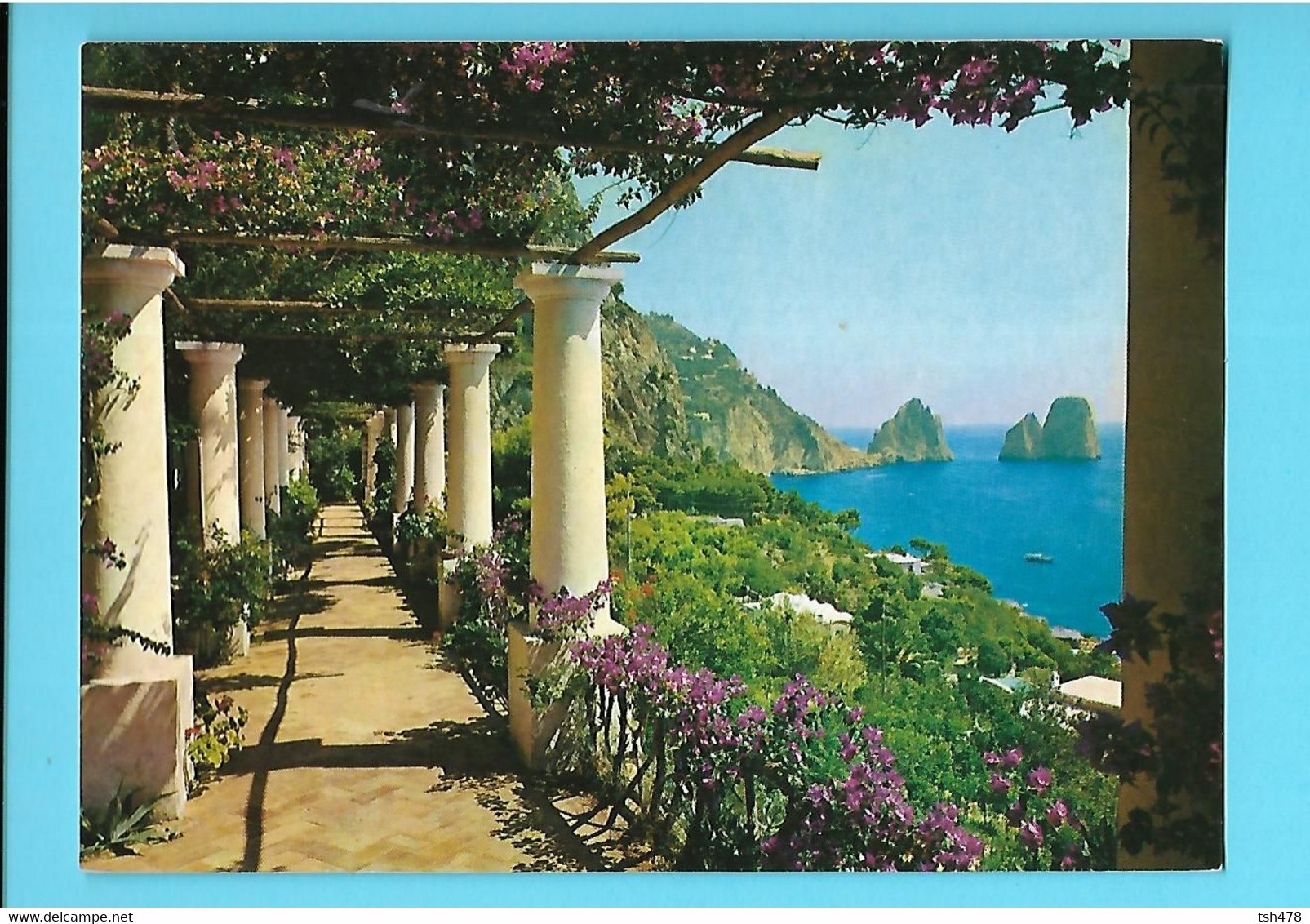 ITALIE---CAPRI--colonnade Et Treillage---voir 2 Scans - Carpi