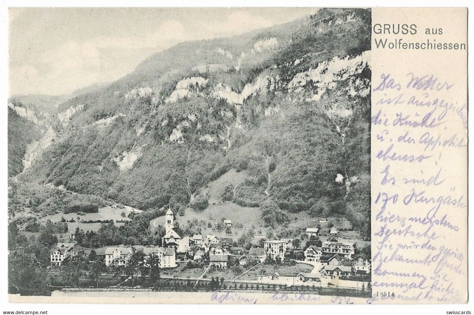 Gruss Aus WOLFENSCHIESSEN 1904 - Wolfenschiessen