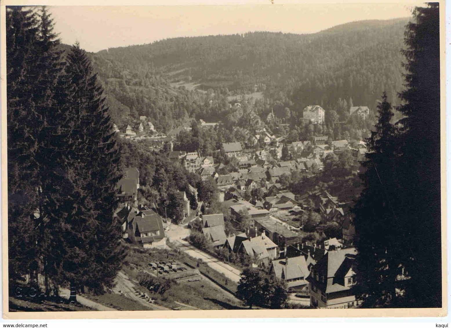 ALLEMAGNE - TRIBERG ? ( Vue ) - Triberg