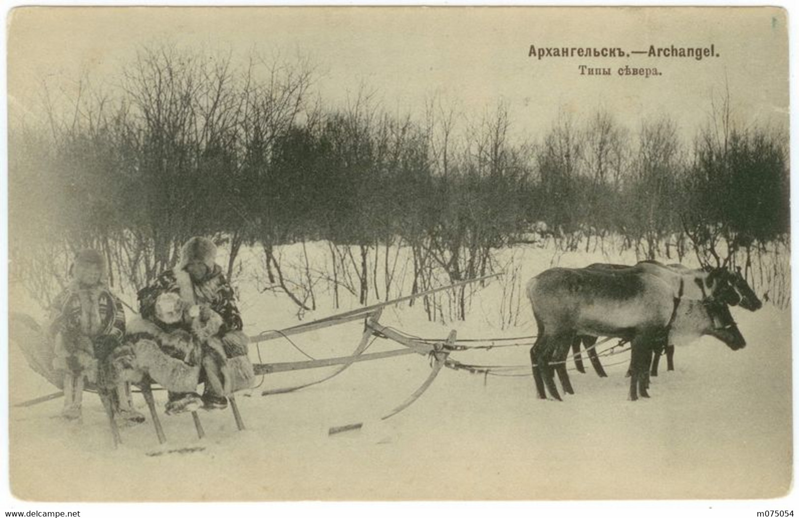 Arkhangelsk. Types Of Nord (1904) - Russia