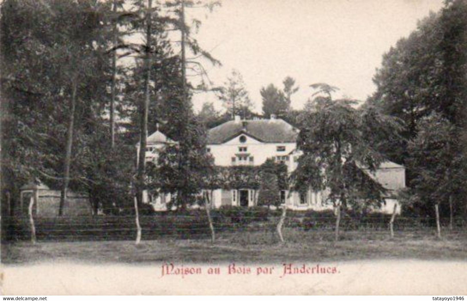 Maison Au Bois Par Anderlues  Circulé En 1911 - Anderlues