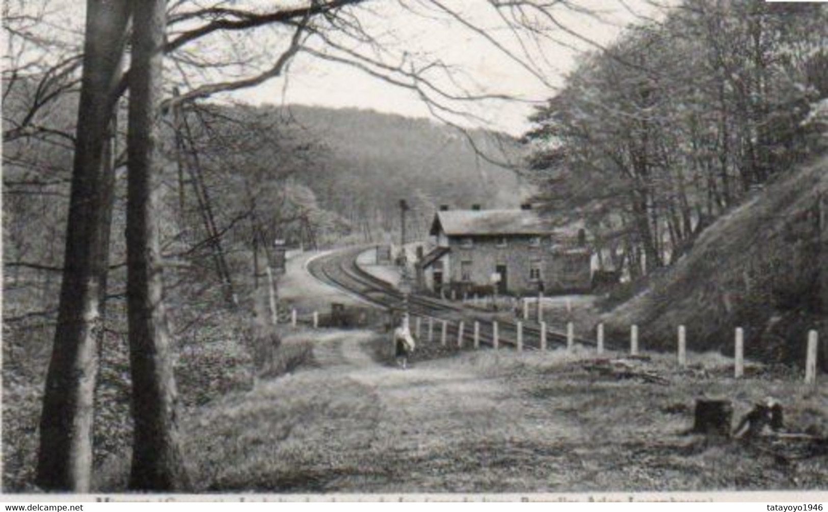 Mirwart (grupont) La Halte Du Chemin De Fer  (grande Ligne Bruxelles-Arlon-Luxembourg N'a Pas Circulé - Nassogne