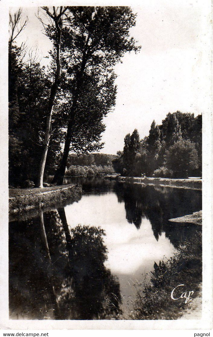 Canaux - Péniches : 89 : Auxerre  : Le Canal ( Cpsm P.F. ) - Houseboats