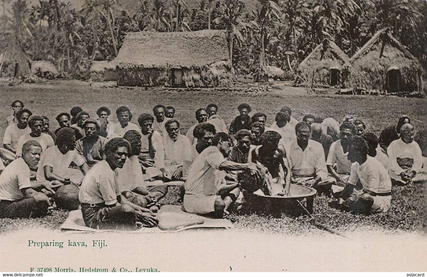 Fiji Preparing Kava Edit Morris Hedstrom And Co Levuka . Undivided Back - Fidschi