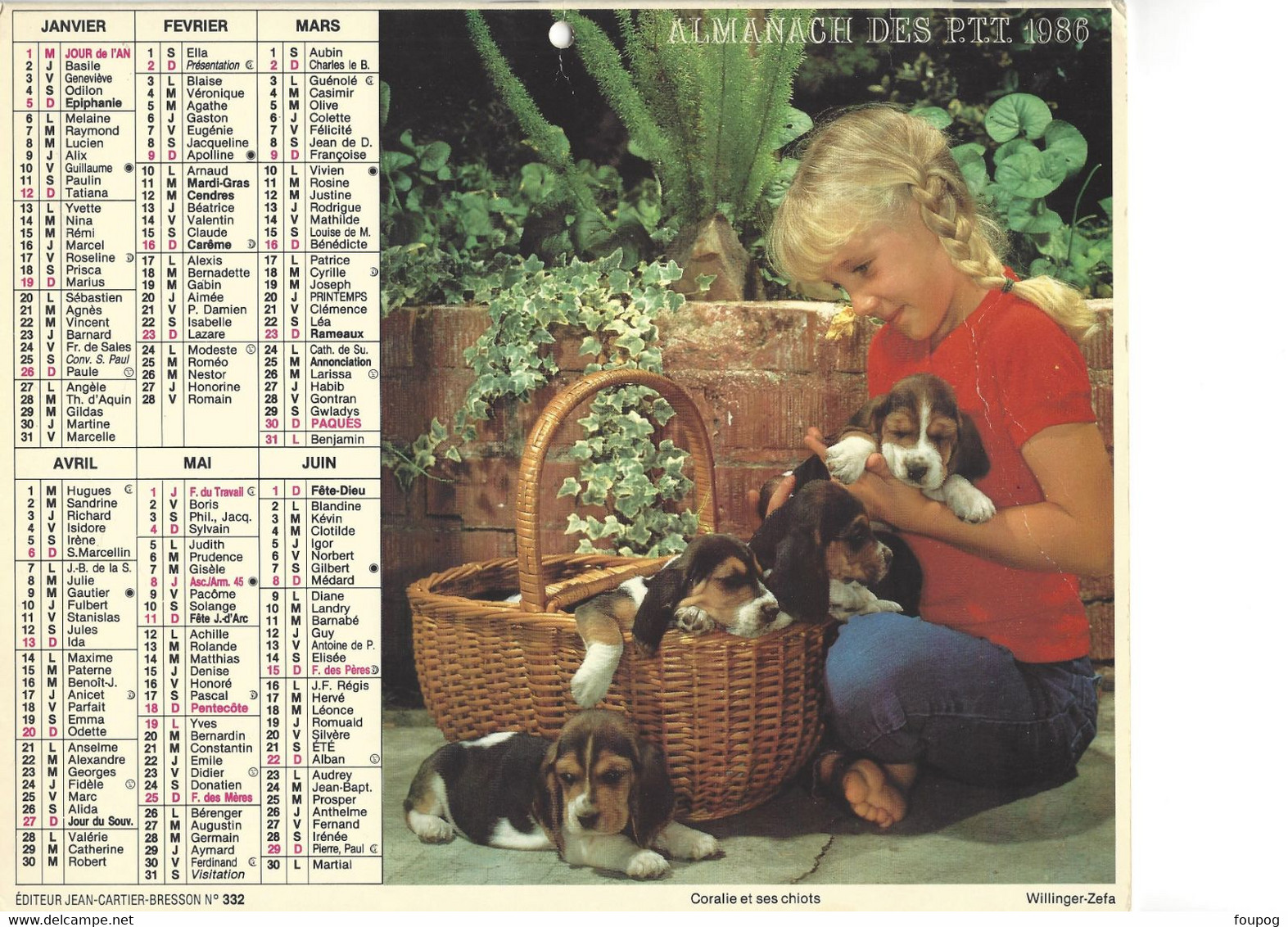 CALENDRIER DES POSTES 1986 ALMANACH DU FACTEUR ED CARTIER CORALIE ET CHIOTS CHIEN SOPHIE - Grand Format : 1981-90