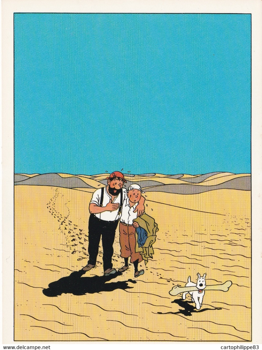 TINTIN  HERGE - Comics